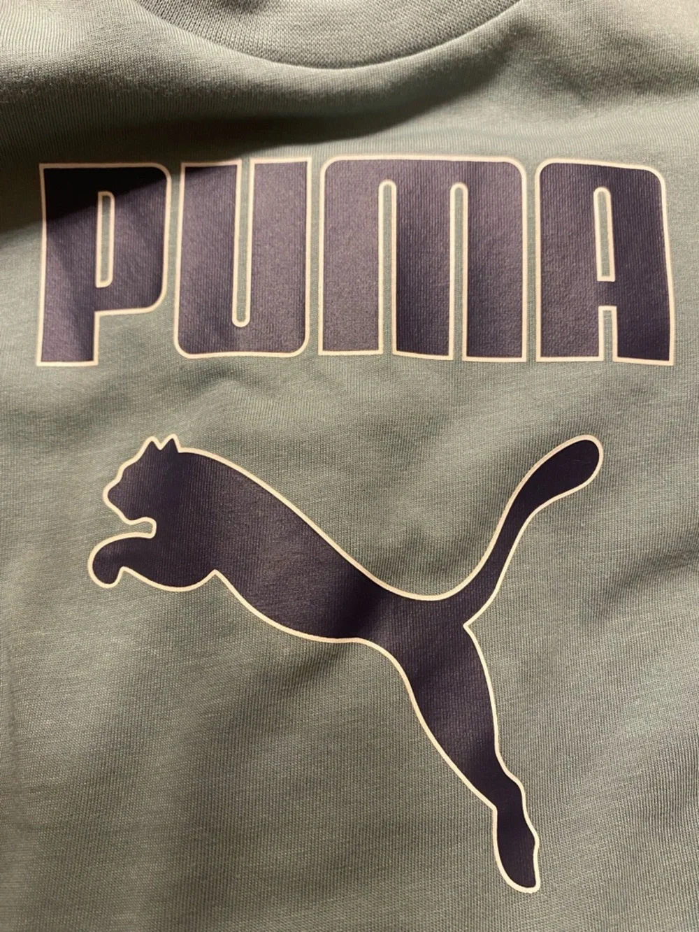 Puma Sage Green Short Sleeve Logo Tee & Shorts NWT size 4 - Picture 3 of 9